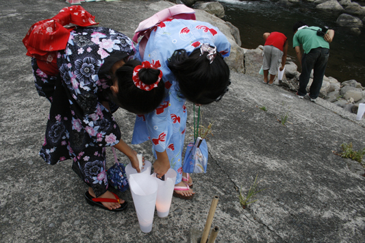 �����ν�����