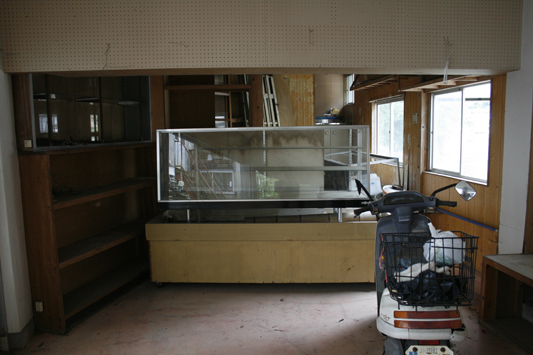 �ӥե�����