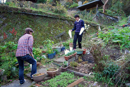 �彣������ؤγ���